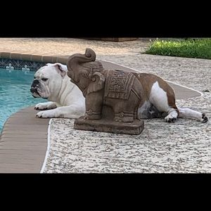 Meet your Posher, Michelle